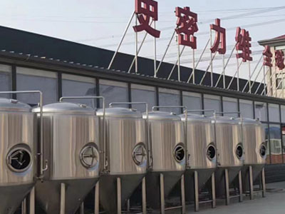 辽宁精酿啤酒设备厂—如何判断精酿啤酒设备的密封件需要更换？
